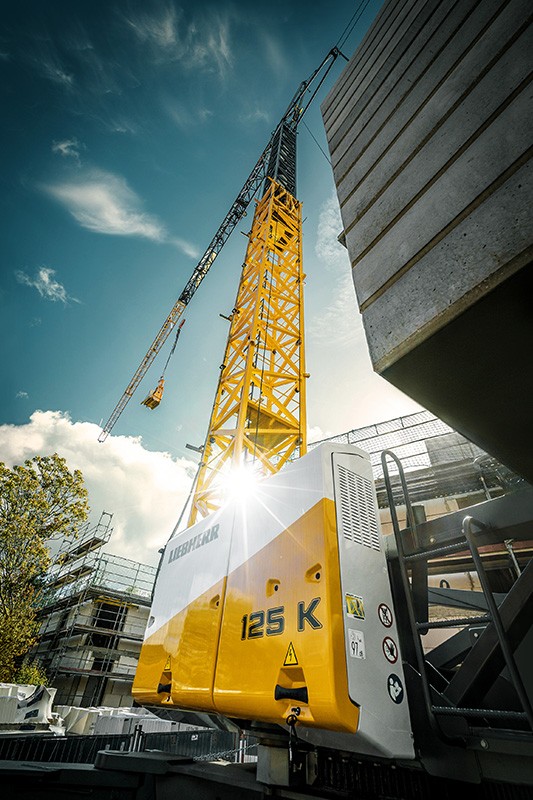 /storage/2024/05/the-largest-liebherr-fast-erecting-crane-in-a-successful-family_6648567bceeee.jpg