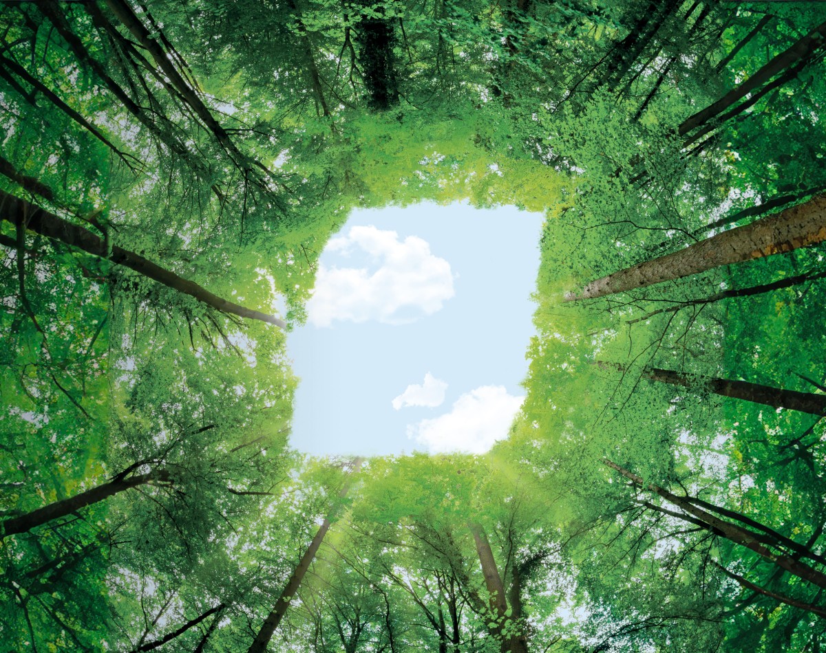 BKT aderisce alla “Global Platform for Sustainable Natural Rubber”
